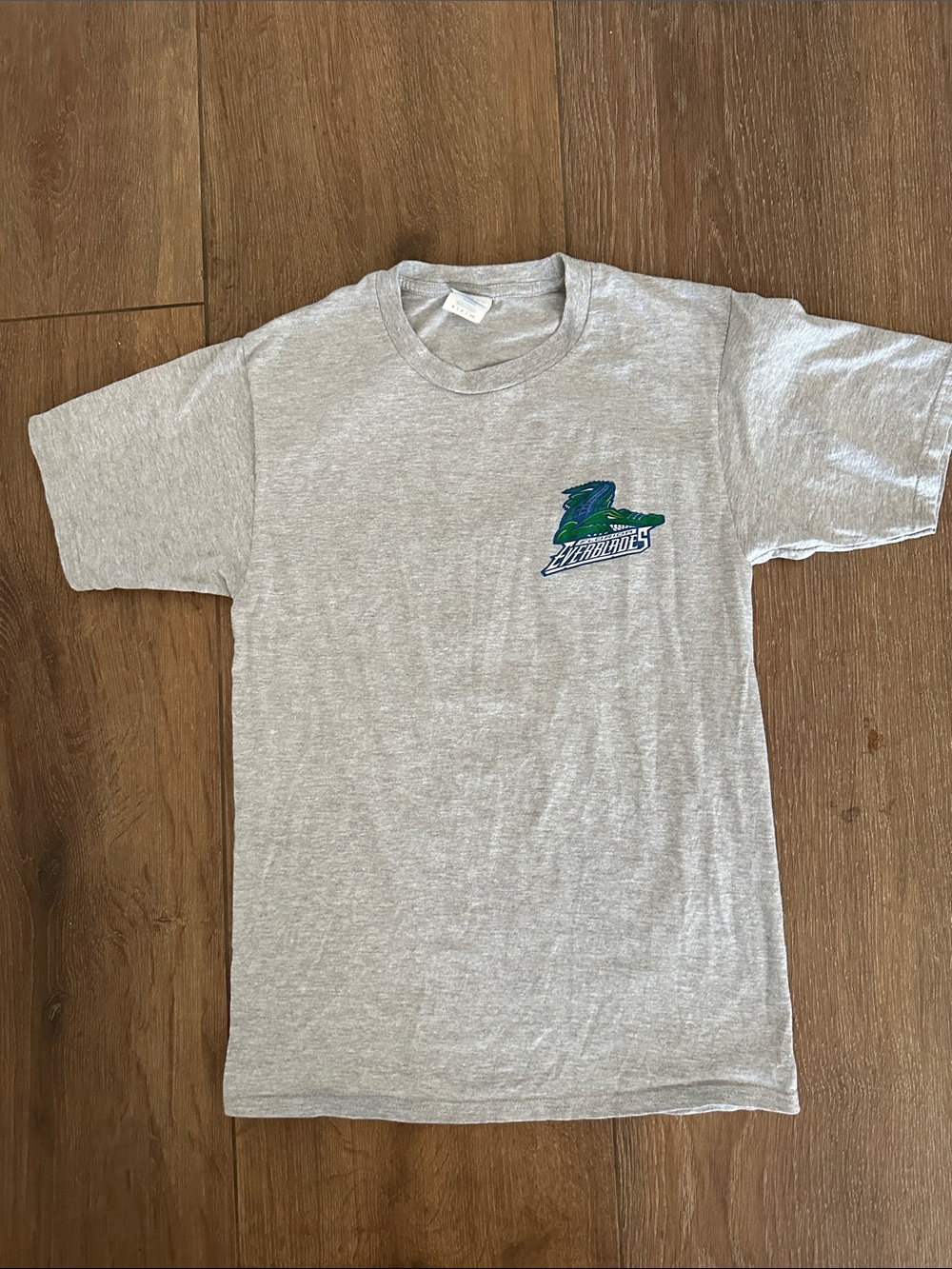 Port and company Gray Short Sleeve Tee with Green & Blue  Everblade Graphic.